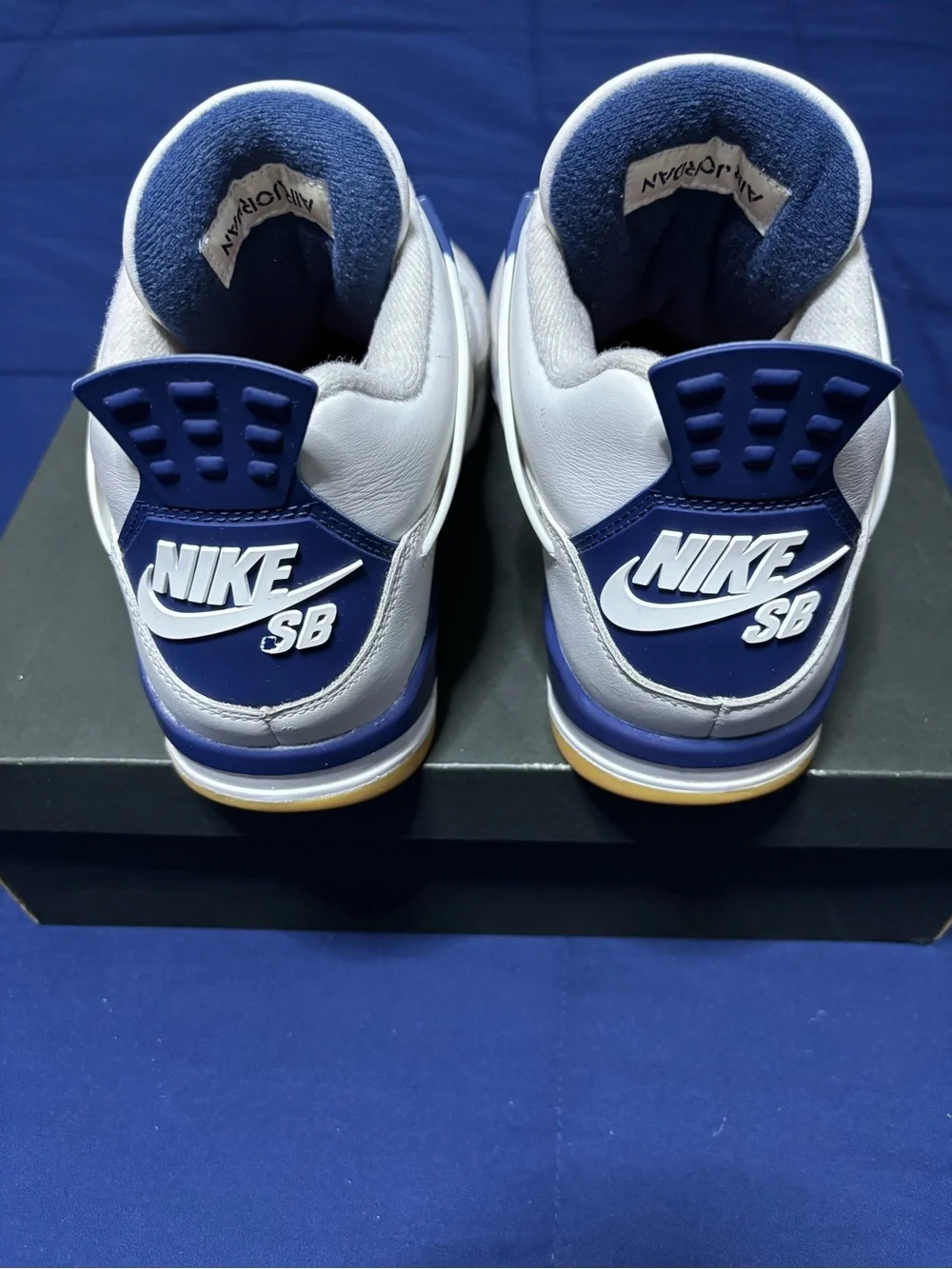 Jordan nike sb